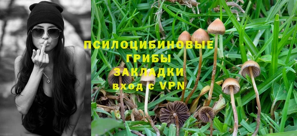 mdpv Абдулино
